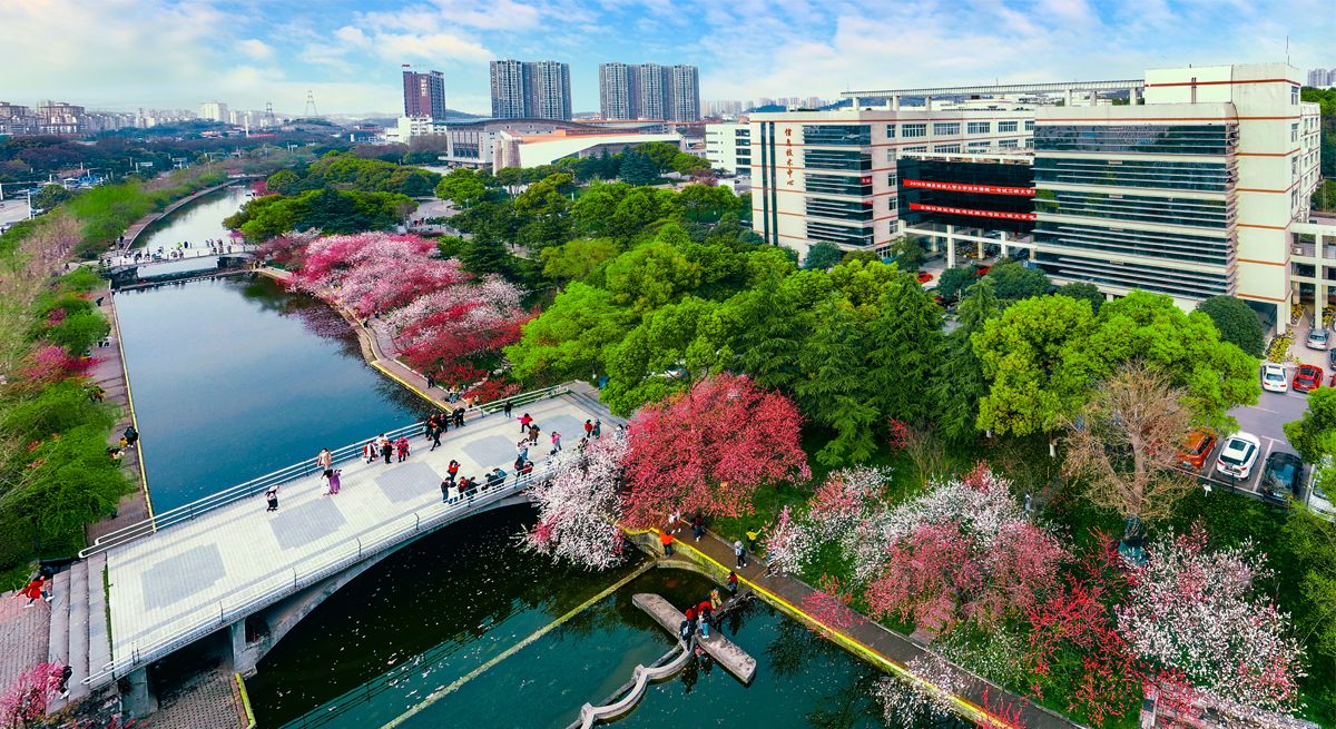 “趣享运动 携手迎新”線上免費a片机关工会趣味运动会圆满落幕