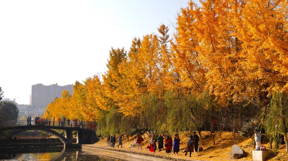 線上免費a片风景