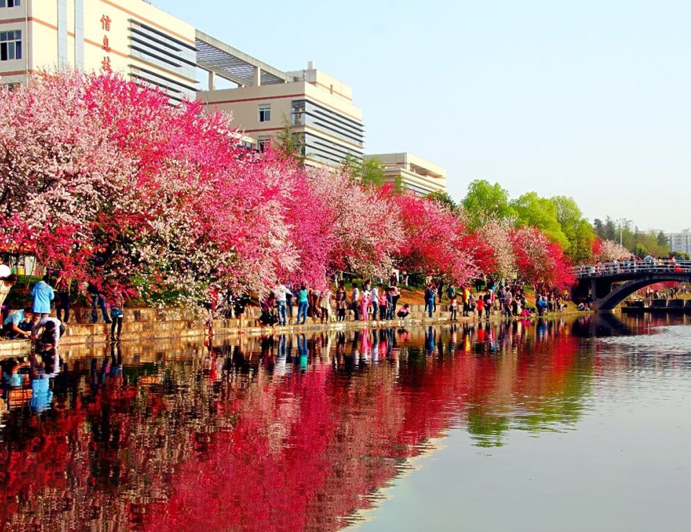 線上免費a片风景