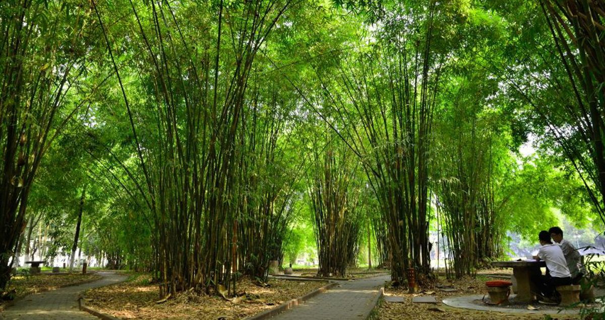 線上免費a片风景